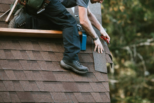 Best Roof Repair Services  in Prairie Creek, AR